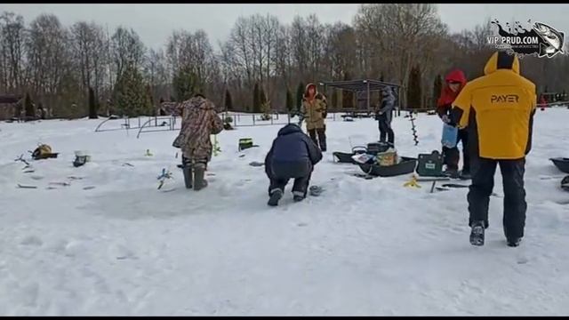 Ловля форели на безлимите в Прудцах! Вот это дуплеты!!! смотреть онлайн