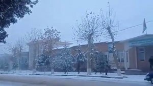 Шайдон