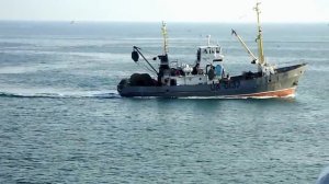 Лов хамсы в Керченском проливе.MP4