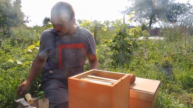 Обработка щавелевой кислотой пчел осенью. смотреть онлайн