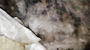 Чердак Все сгнило. Нет пароизоляции, нет вентиляции, и нет теперь чердака.