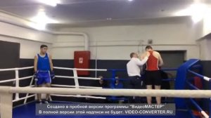 Павлов Александр (Moscowboxing)