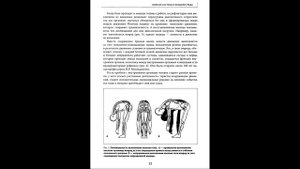 Из книги Васильева Л.Ф. "ПРИКЛАДНАЯ КИНЕЗИ0Л0ГИЯ. Восстановление тонуса и функций скелетных мышц.