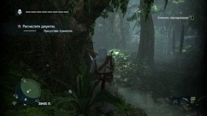 Assassin's Creed 4 Black Flag #42 - Зачистка джунглей