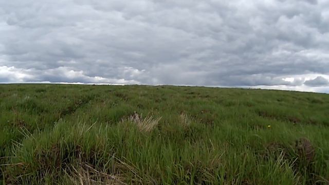 Всегда ищите в таких местах, многие думают, что там уже ничего нет!!! смотреть онлайн