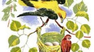 ЛЕСНЫЕ ДОМИШКИ Виталий Бианки