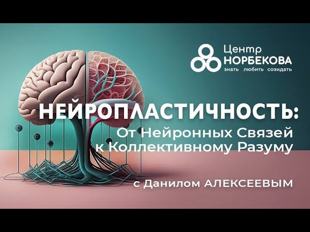 Открытый вебинар с Данилом Алексеевым Нейропластичность: От Нейронных Связей к Коллективному Разуму