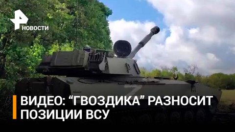 Российская "Гвоздика" разнесла позиции ВСУ в зоне спецоперации / РЕН Новости