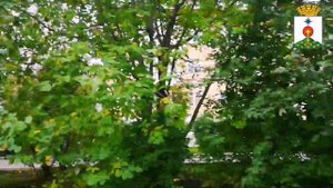 Бокситы. Североуральск. Вагран ушёл под землю.