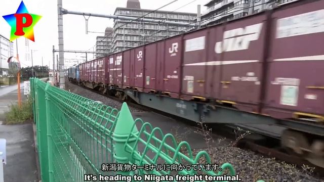 Мир поездов и железных дорог | Новый сборник викторин и удивительных фактов смотреть онлайн