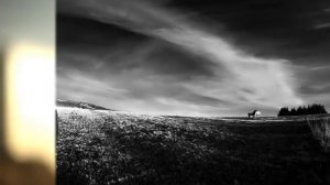 Николай Носков ПЕРЕВЕДИ МЕНЯ ЧЕРЕЗ МАЙДАН