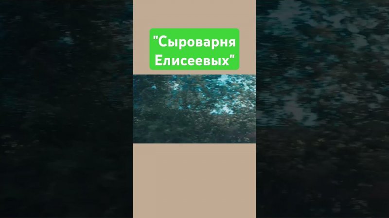 Красоты Воронежского края / Где находится "Сырованя Елисеевых" / #поля #shorts #video #vlog#sir#сыр