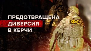 Задержание готовившего диверсию в Крыму гражданина Украины — видео