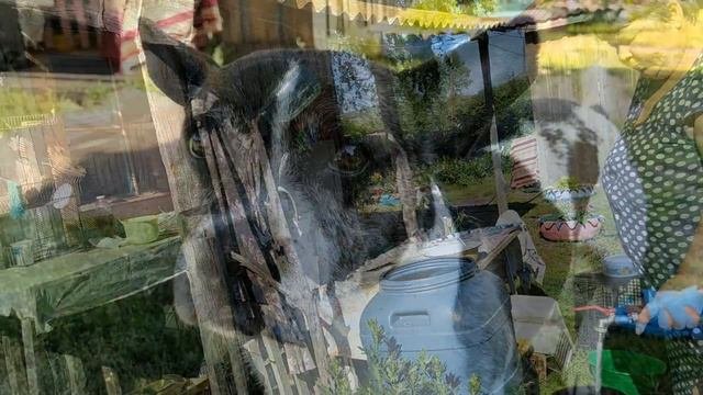 ЗЕЛЁНАЯ ПЛАНЕТА . Новая Суртайка.
