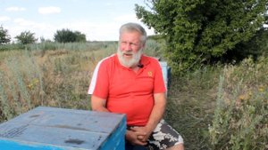 КАК ПРАВИЛЬНО ВЫБРАТЬ МЕСТО ДЛЯ КОЧЕВОЙ ПАСЕКИ. Пчеловодство 2020. Пчеловодство для начинающих