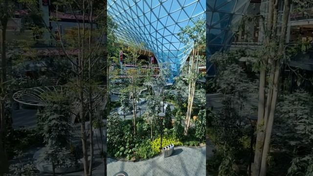 Tropical garden at Hamad International Airport #Doha #Qatar #fifaworldcup2022  #shorts