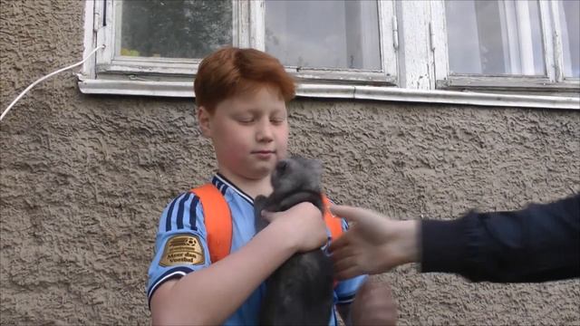 Социальный ролик "Кто мы..." смотреть онлайн