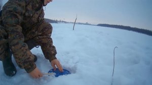 ПРОБНАЯ РЫБАЛКА НА НАЛИМА /ЛОВЛЯ НАЛИМА НА ИРТЫШЕ /ПОСТАВУШКИ НА НАЛИМА