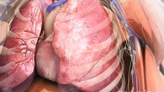 ČUDESNI ZAČIN za upale ZGLOBOVA ! Uklanja bolove otekline crvenilo popravlja hrskavicu ...