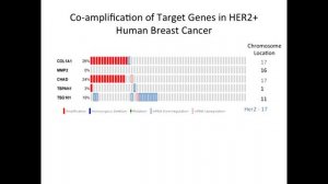 Genome Directed Investigation of Breast Cancer