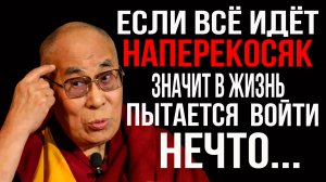 Цитаты великих людей