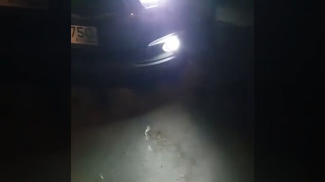 Светодиодные лампы HB4/9006 Kia ceed смотреть онлайн