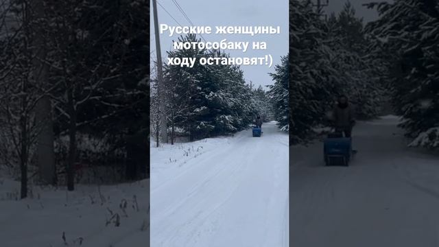 Мотособака Barboss Балтмоторс! И хрупкая девушка справится с управлением! смотреть онлайн