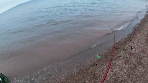 Лещь в пасмурную погоду клюет как не в себя / Юбилейный / Рыбалка фидерная