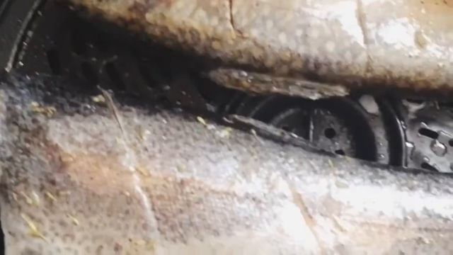 Air Fryer Trout Fish Recipe смотреть онлайн