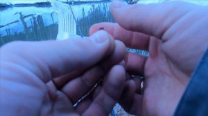 Плотва весной на поплавок 2021. Ловля плотвы в проводку на малой реке