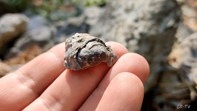Жёлтый водопад Яузлара. Окаменелости океана Тетис