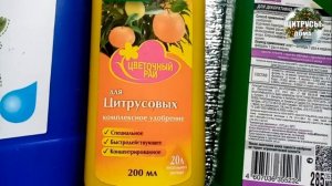 Удобрения для цитрусов. Мой выбор