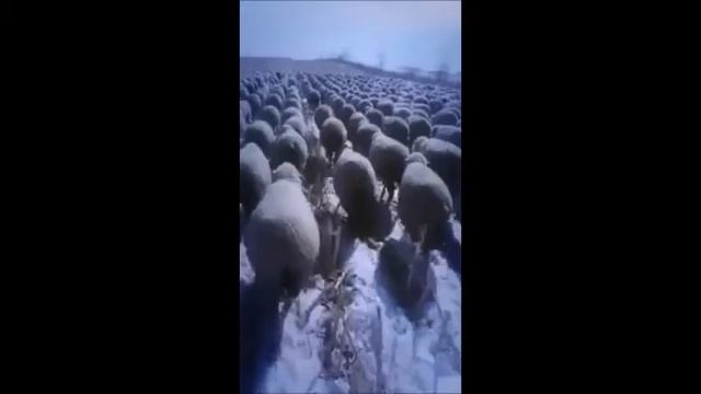 Conformist Music смотреть онлайн