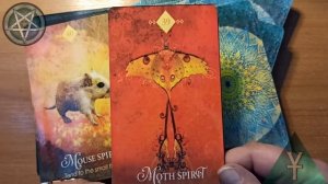 SpiritAnimal Oracle Оракул Дух Животных