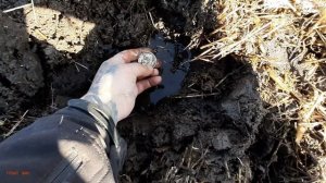 #401 Открыли полевой сезон супер находкой. Коп с Garrett Apex