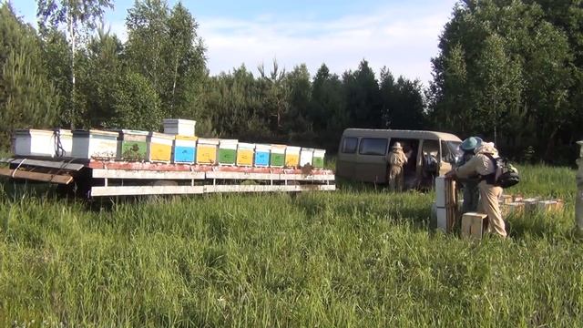 КАК БЫСТРО ЗАБРАТЬ МЕД У ПЧЕЛ. Снятие магазинных надставок с медом, медосбор 2018. Отбор меда.