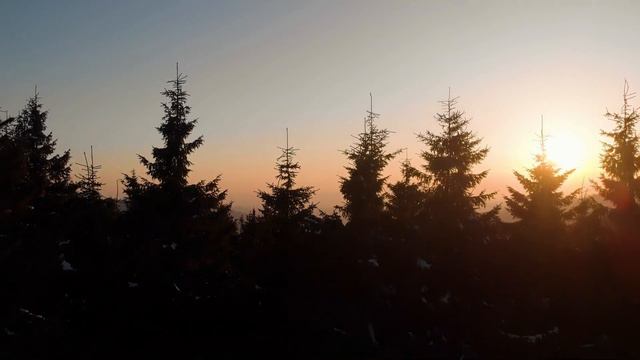 Основы управления реальностью