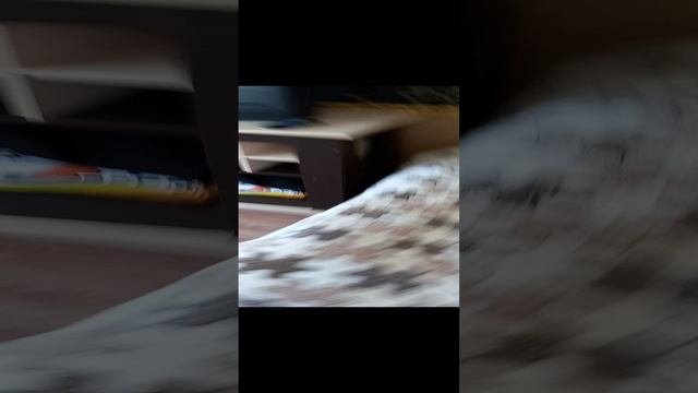 РУМТУР!!!