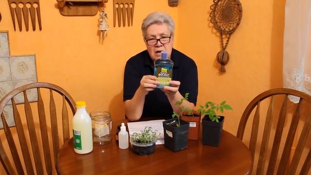 87 Подкормка рассады фосфором