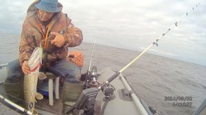 Рыбалка на Ладоге 2 щука. 2014.Назия