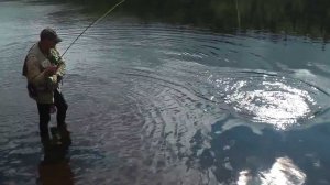 Прерванное дежурство