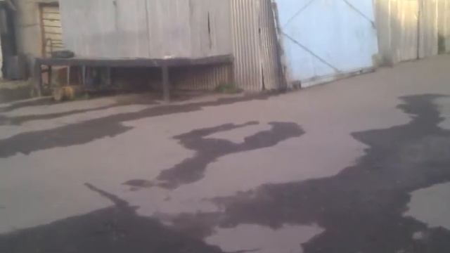 сожрал птичку смотреть онлайн