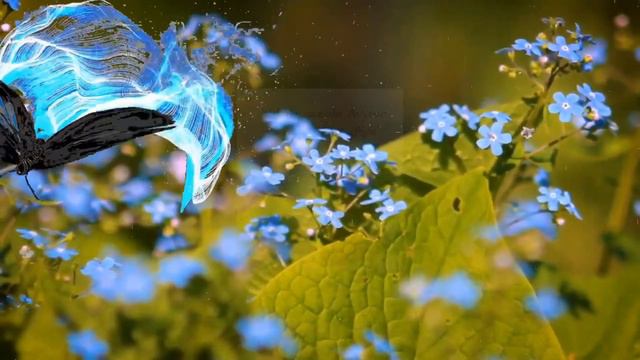 С Добреньким Утром! Самых чудесных новостей и отличного настроения! смотреть онлайн