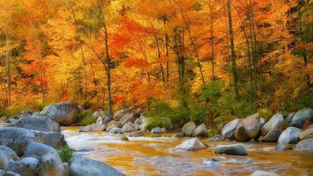 hd landscape screensavers смотреть онлайн