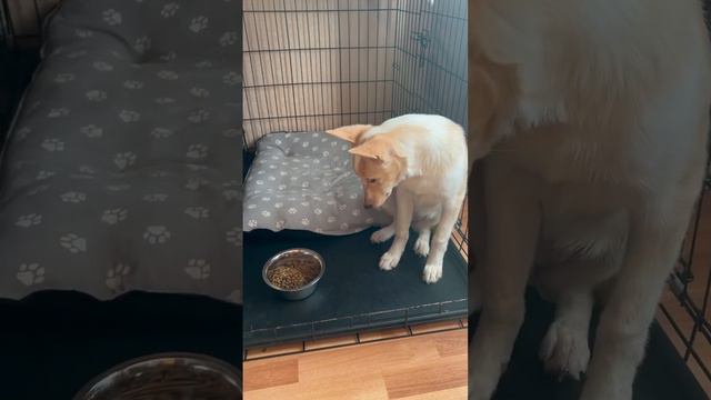 Подписчица занимается по советам из нашего ТГ-канала. Результат налицо!) Ссылка в описании ⬇️