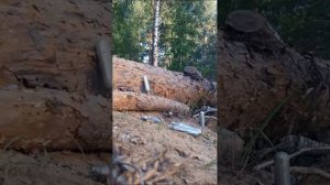 мр 555 к первое знакомство 22 г