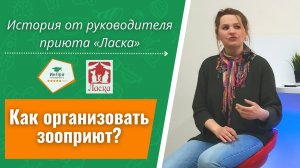 Помогать животным – от идеи к профессии! Интервью с Софьей Куликовой, руководителем приюта «Ласка»