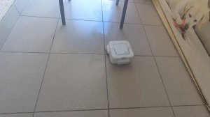 iRobot Braava Jet 240: обзор, тест уборки, личное мнение✅