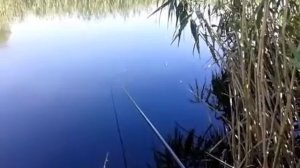 Плоский поплавок   1 е испытание