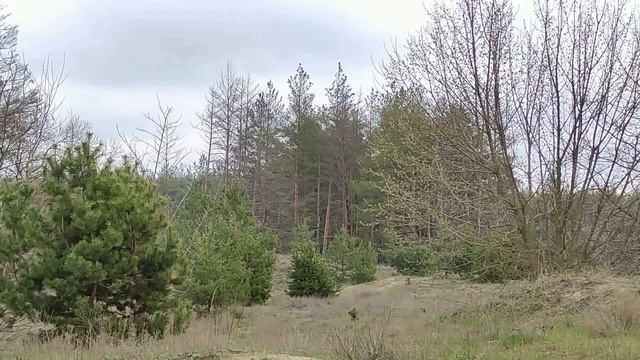 6 мая народный праздник День Георгия Победоносца. Юрьев день.Что нельзя делать. Народные традиции
